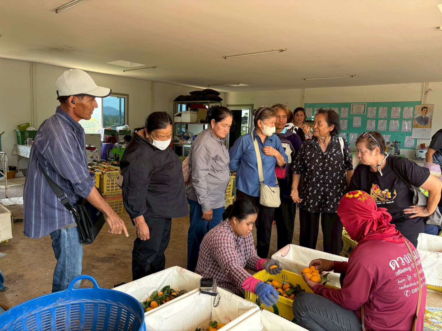 title - ส.ป.ก.นครปฐม จัดโครงการที่ดินพระราชทานในเขตปฏิรูปที่ดินจังหวัดนครปฐม ปีงบประมาณ พ.ศ. 2569 หลักสูตร การจัดการที่ดินและระบบการผลิตที่มีประสิทธิภาพ เพื่อเพิ่มโอกาสด้านการท่องเที่ยว ระยะที่ 3